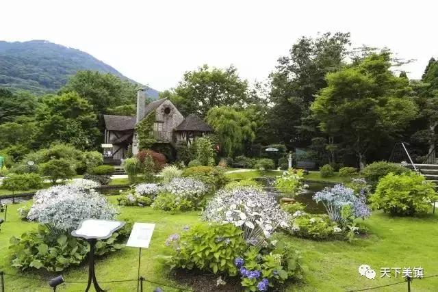 身边有很多人去日本旅游,去日本旅行的好地方