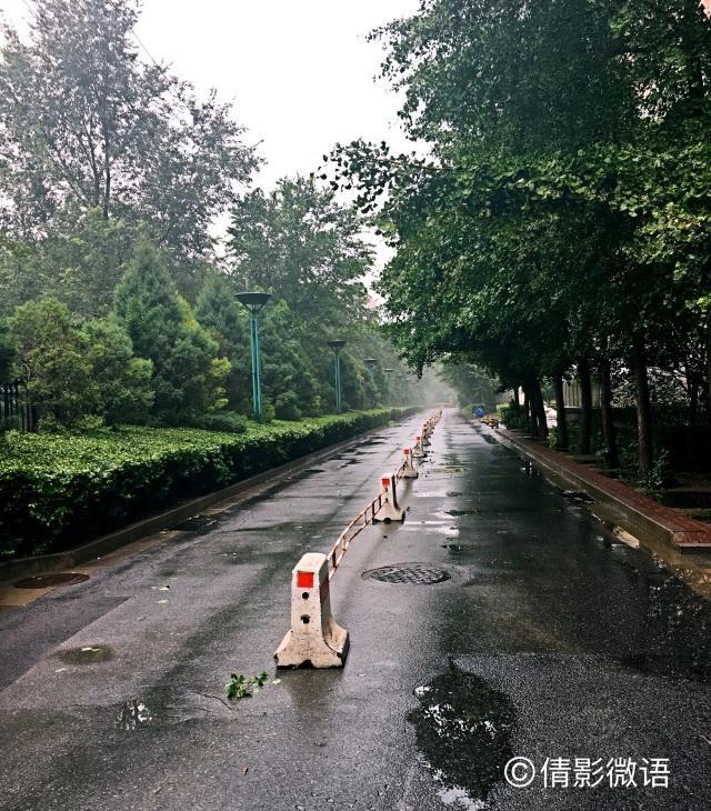 倩影留痕｜承德·丰宁坝上草原游记