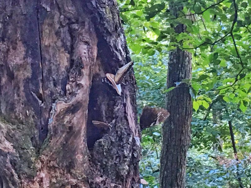 一场说走就走暑假旅行,一场说走就走的旅行来了