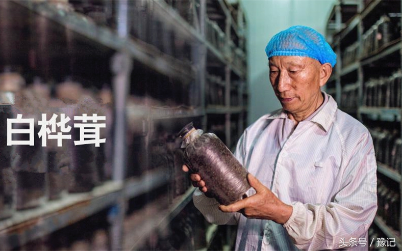 这个奇葩，从土豪变笑柄，最后成为了科学家