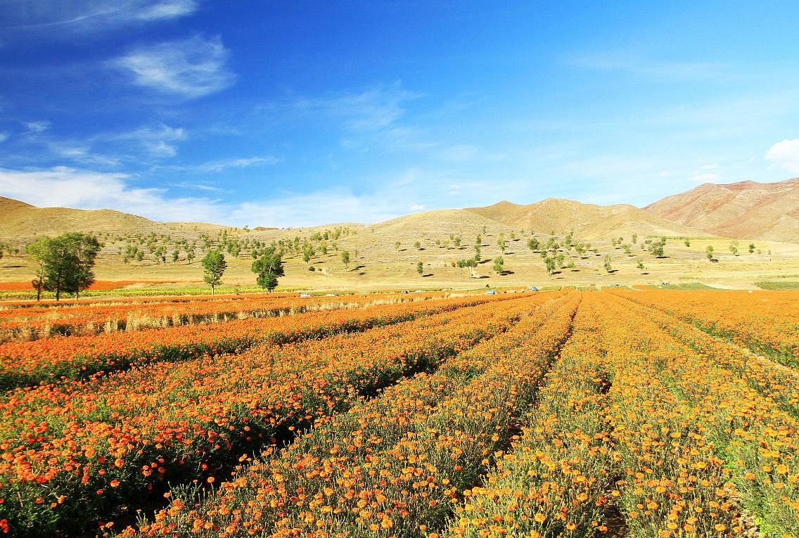 内蒙古人口最密集的城市,赤峰内蒙古第三大城市