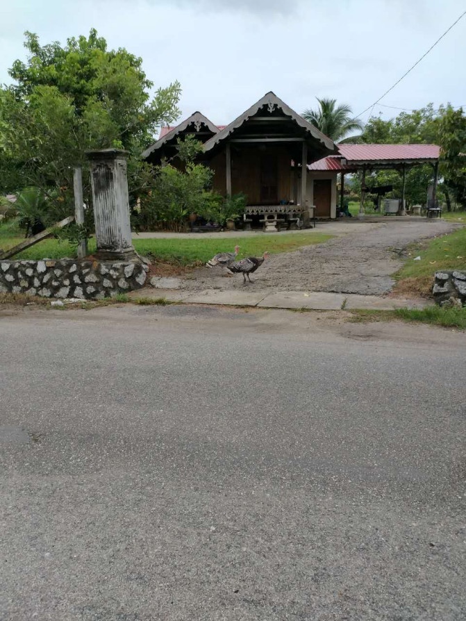 想走就走的旅行兰卡威六日游,兰卡威3天2晚的自由行攻略