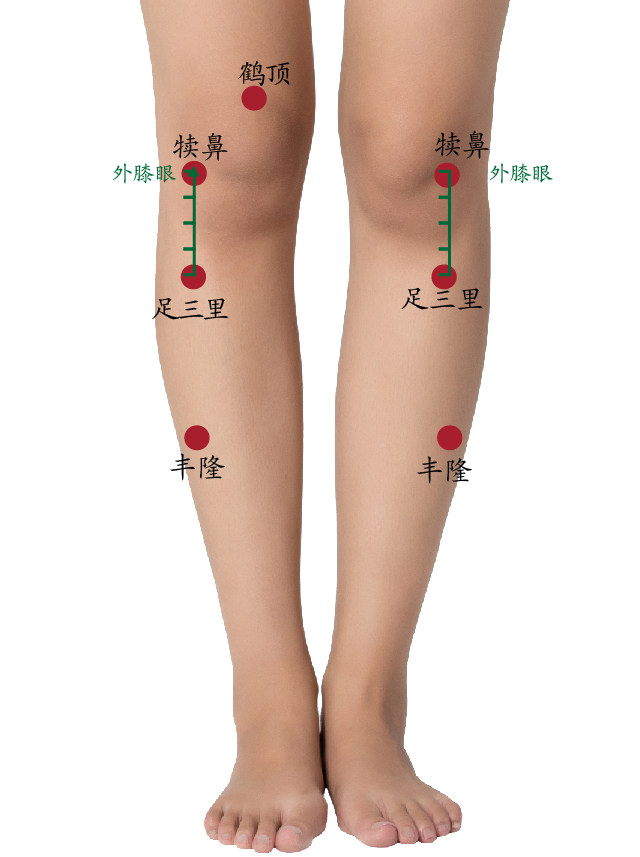 江洋大盗被凌迟处决,江洋大盗是怎么死的