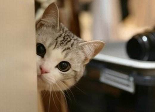 治疗失眠抑郁真正有效的药,失眠头疼等症状该怎么治