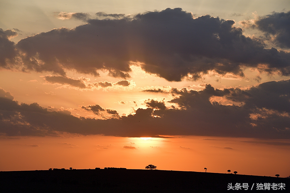 肯尼亚大草原狮子为什么不攻击人,肯尼亚非洲大草原雄狮大战犀牛