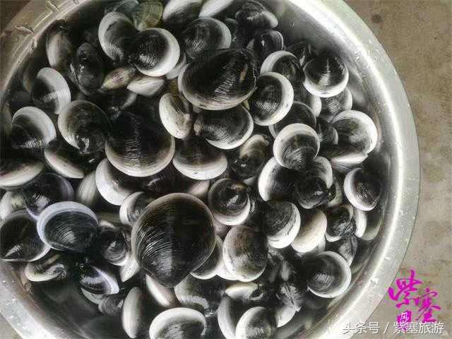 紫塞农家小院介绍,紫塞京津冀农家院