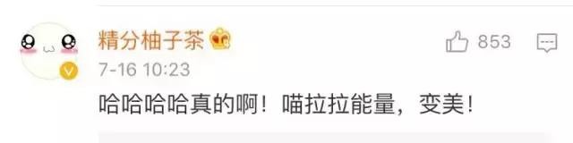 给流浪猫割双眼皮,成都流浪猫手术