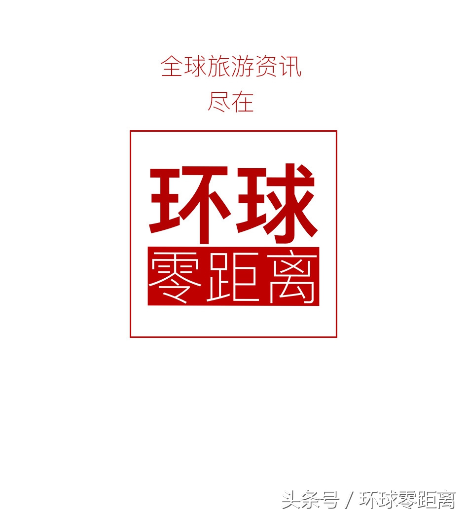 宠物行旅,宠物旅游攻略和萌宠一起畅游世界