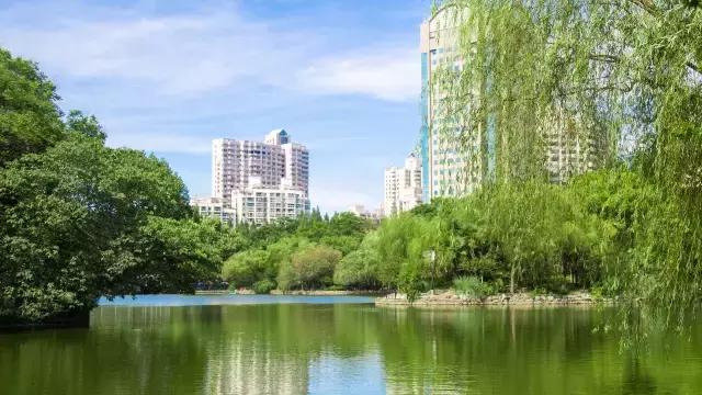 高温下的上海城市,上海40度以上高温