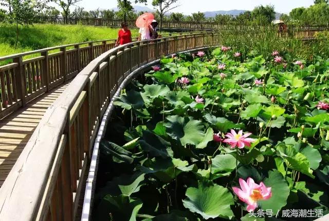 威海新开的公园,威海新建公园