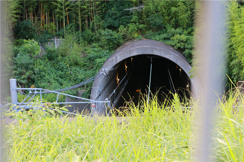 日本成田机场到市区最早几点,成田机场到东新宿