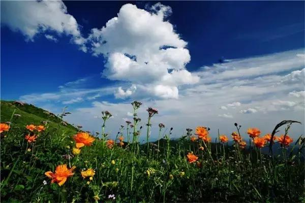 五台山旅游攻略最具代表性寺庙,佛教圣地五台山可以随便旅游吗