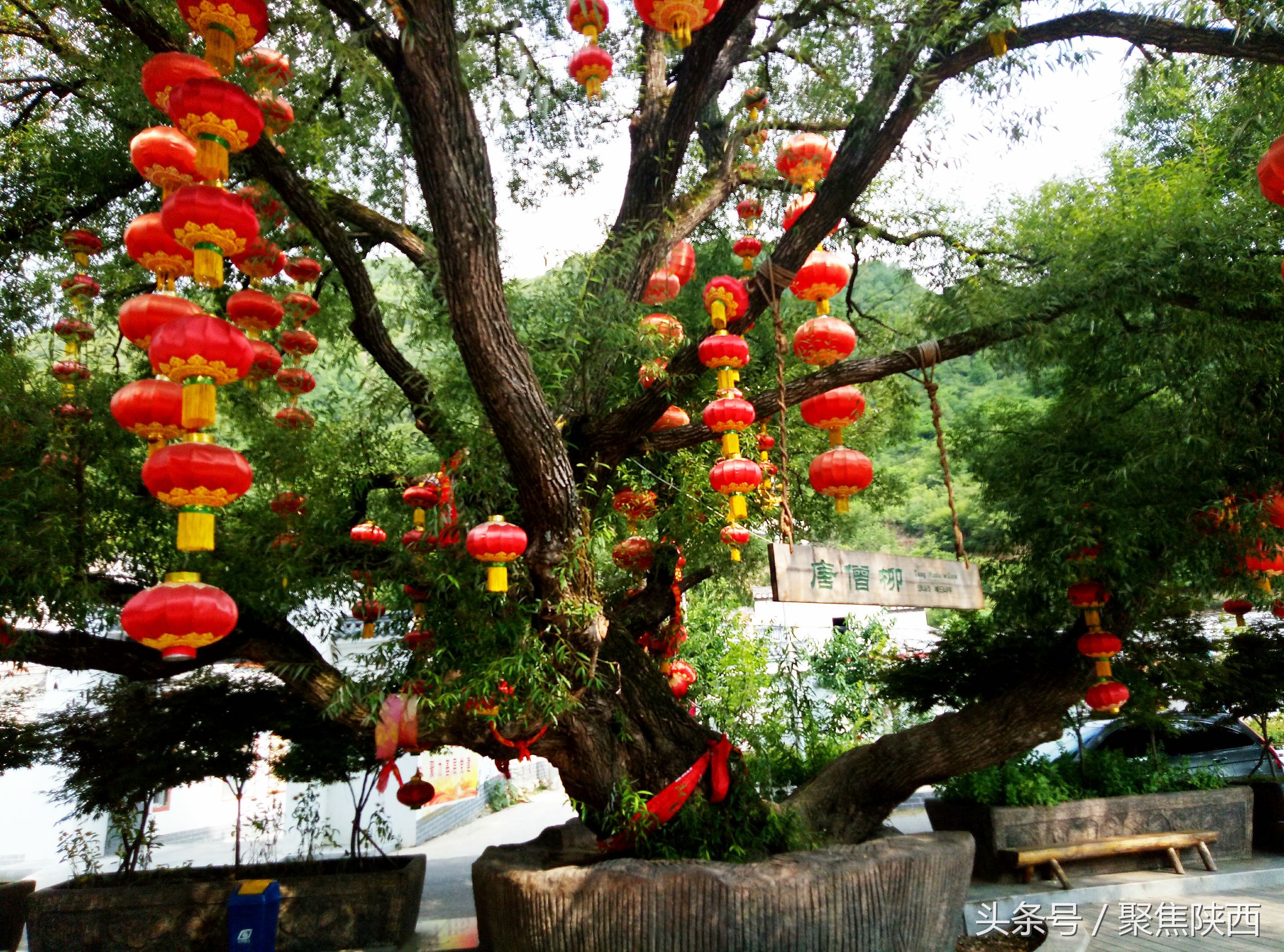 陕西陈家湾景区,陕西黄河湾风景