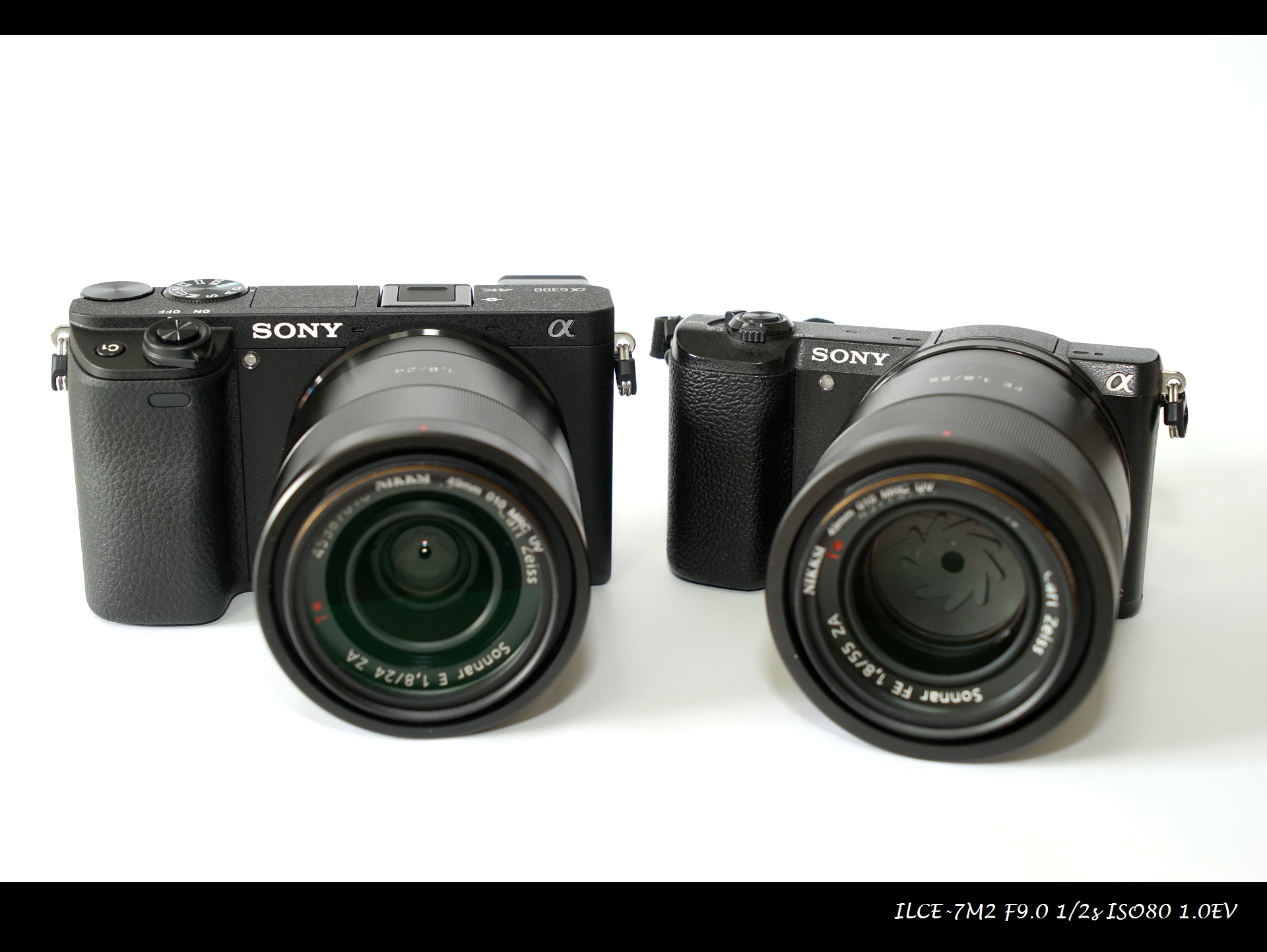 索尼微单a6000和a6300,索尼a6300微单摄影入门教程