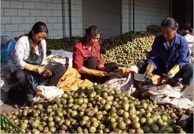 大山里的守望视频,深山里的守望