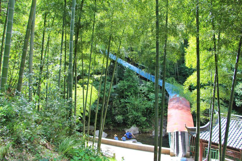 一场说走就走的夏日旅游,一场说走就走的山水旅游