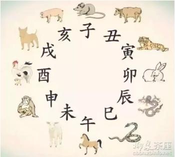 生肖相合和五行相生哪个重要,生肖相生相合对照表有科学根据吗