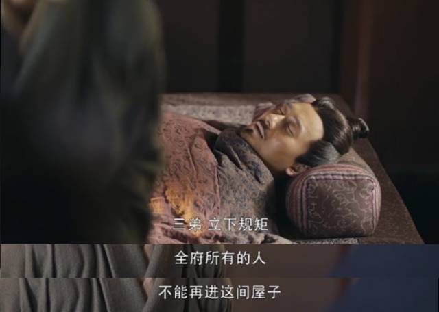 大军师司马懿那些你不知道的事,大军师司马懿曹真之死