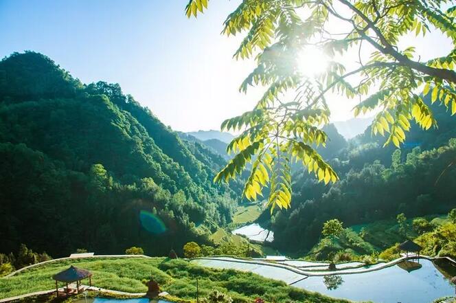 一对夫妻，在《阿凡达》的取景地，改造老宅，收获了完美的人生