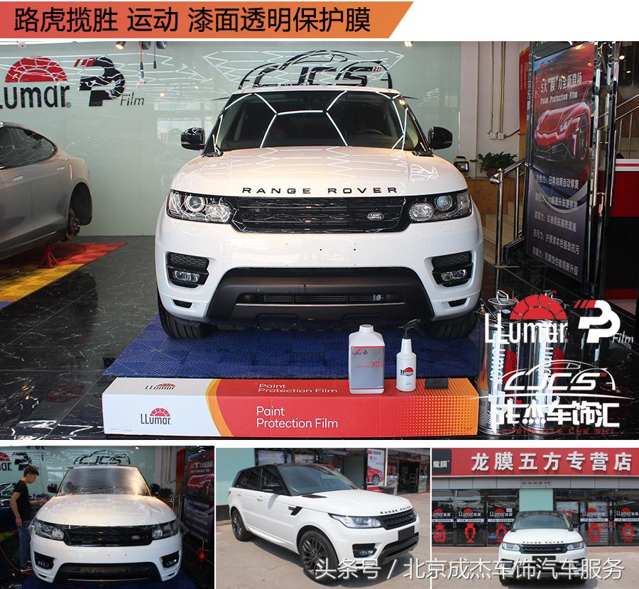 关于龙的知识简短,关于龙的科普小知识