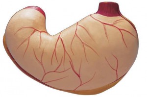 外国人怎么治疗慢性胃炎,老外评价中医不用吃药