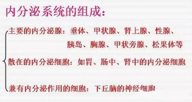 内分泌失调嘴巴附近起痘怎么调理,女性内分泌失调满脸爆痘调理动作