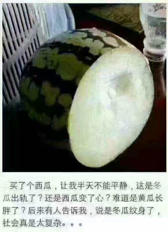 佛前一跪三千年，未见我佛心生怜；莫是尘埃遮佛眼，原是未献香火钱；佛若不贪，为何要世人供奉？