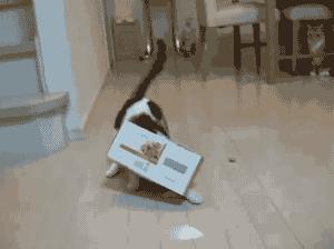 佛前一跪三千年，未见我佛心生怜；莫是尘埃遮佛眼，原是未献香火钱；佛若不贪，为何要世人供奉？