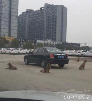 三观被刷新到无下限,三观逐渐被刷新