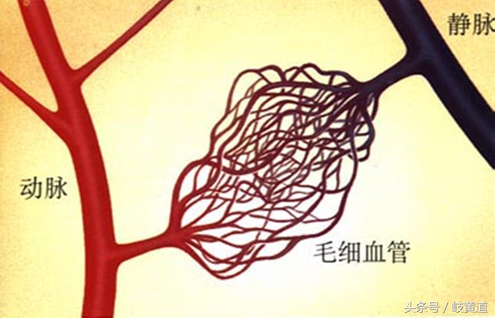 俗话说的鬼捏青是怎么回事,鬼掐青是什么