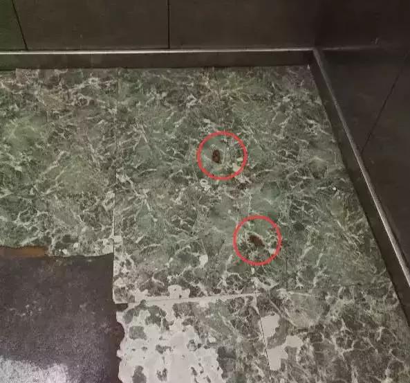 为什么原来喜欢狗现在不喜欢了,为什么那么多人不喜欢狗