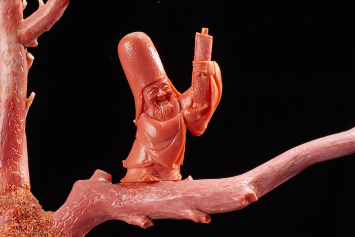 有机宝石珊瑚介绍,珊瑚宝石是什么