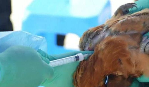 排排坐公开课完整版,排排坐公开课