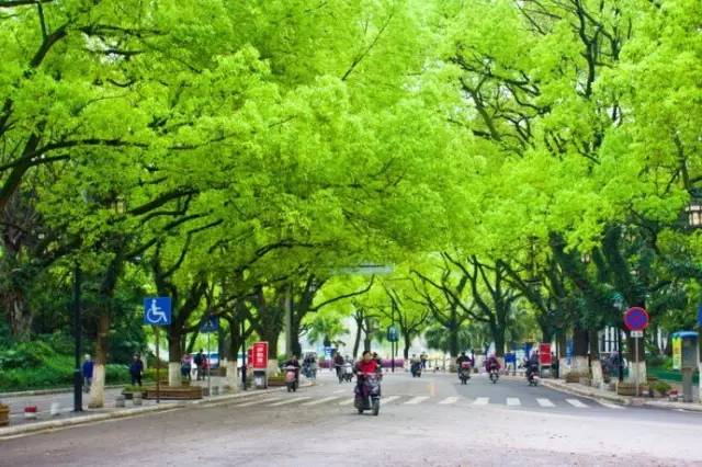 桂林印象最深刻的城市,桂林一座难说再见的城市