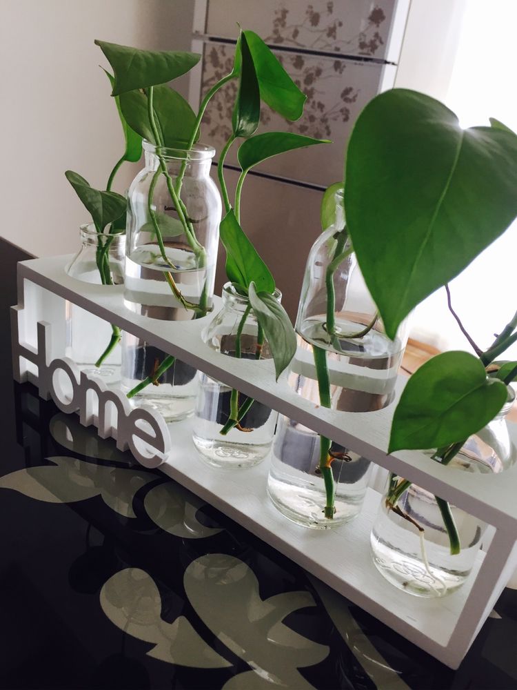 虚度光阴才是最好的状态,虚度时光才是人生的最高境界