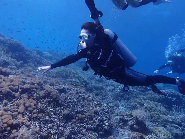 最值得去的4个海岛 (十大绝美海岛旅游攻略)