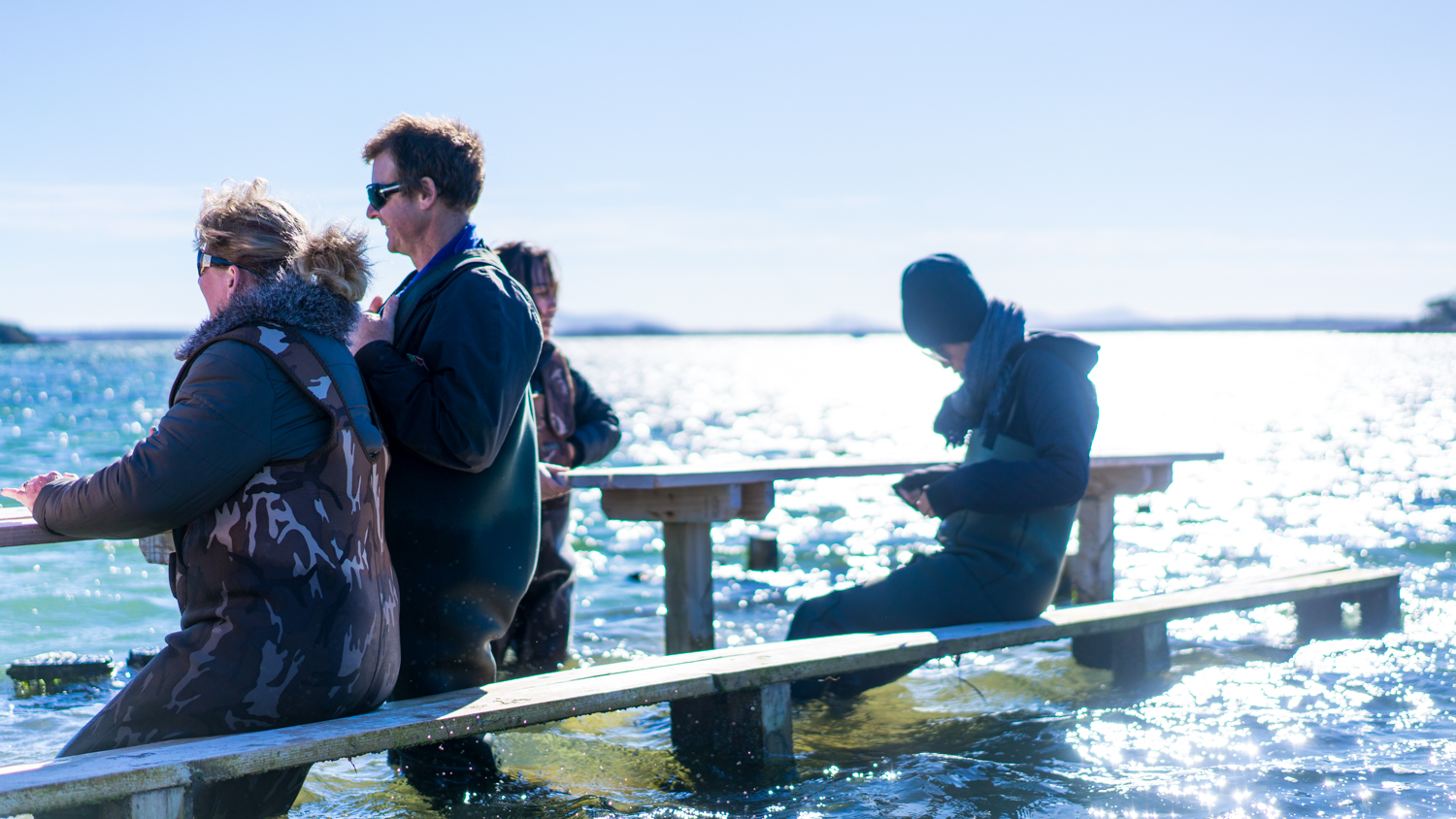 澳洲生蚝哪里最好,全球顶级生蚝多少钱一个