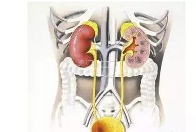 治疗胆结石的最新最好的方法,中医治疗胆囊炎胆结石的方法