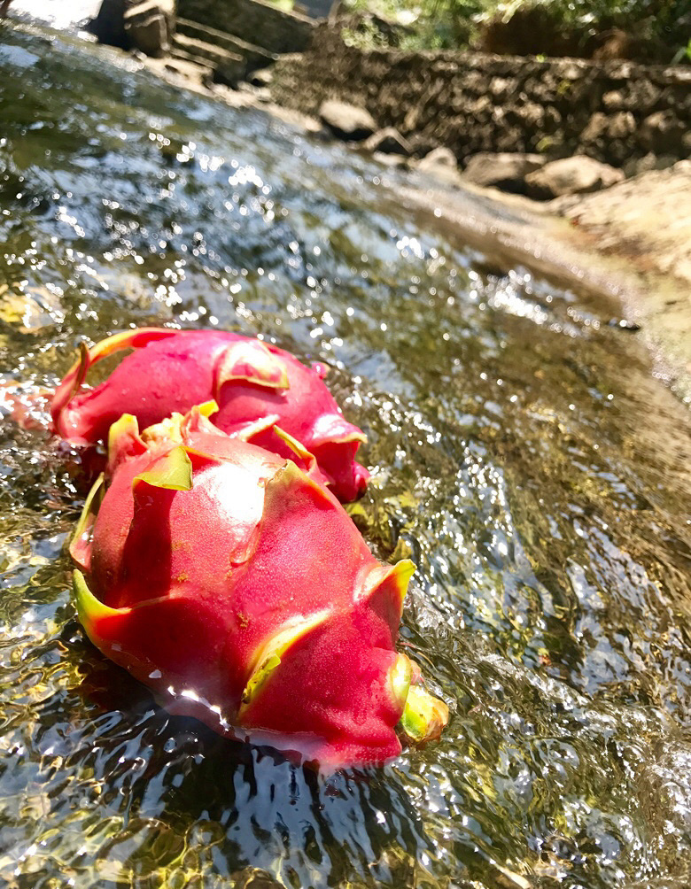 神龙峡漂流一个船可以坐几个人,新兴天露山梅溪古镇神龙峡漂流