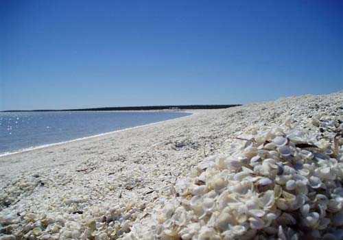 菲律宾长滩岛最美沙滩,菲律宾长滩岛旅游景点
