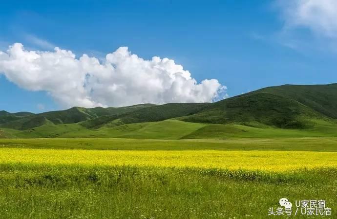 最美丽的青海湖,美丽的青海湖风景如画心旷神怡