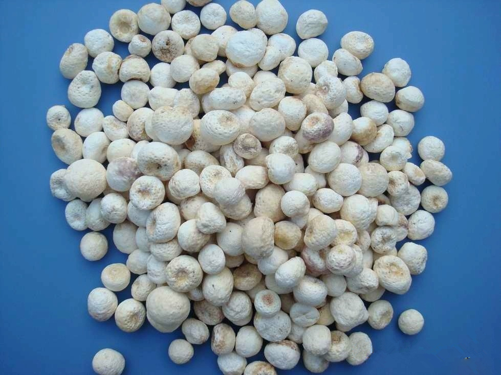 支气管哮喘的发病病因有哪些,支气管哮喘的病因及发病机制