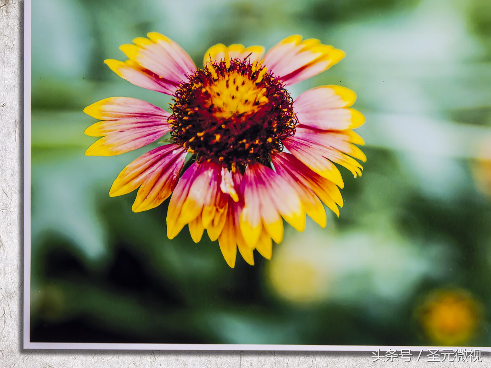 使用双面打印,使用双面打印节约纸张