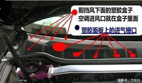 爱车被动物入侵怎么办,爱车被狗咬坏怎么办