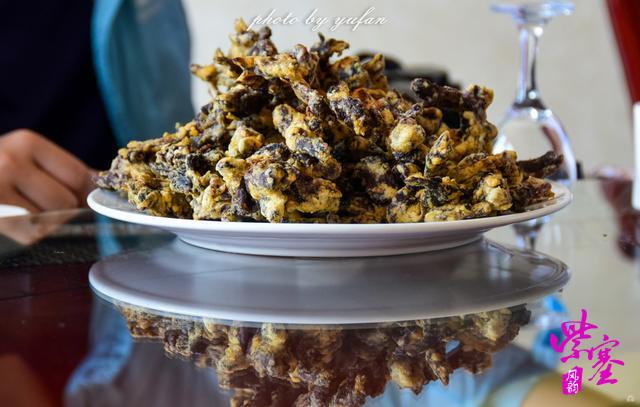 紫塞明珠乌兰布统云玉农家院,乌兰布统公主湖农家院