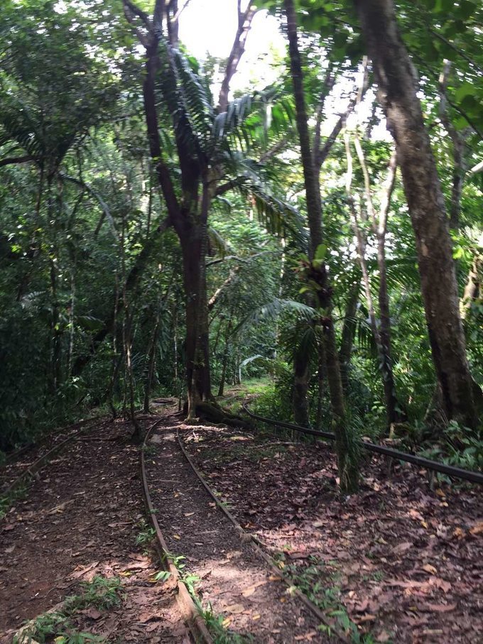 看鲨鱼，玩泥巴，看男人穿婚纱，带你看不一样的帕劳