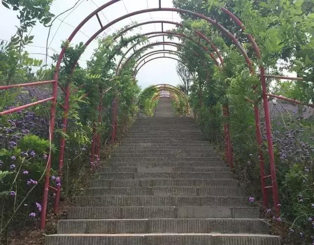 川渝黔避暑农家乐排行榜,重庆避暑农家乐包吃住