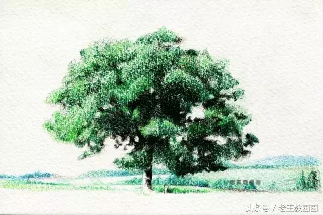 零基础学用彩铅画风景,彩铅画教程入门零基础风景