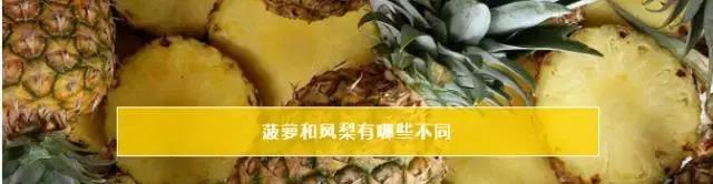 菠萝和凤梨的区别你知道吗,凤梨和菠萝硬是傻傻的分不清