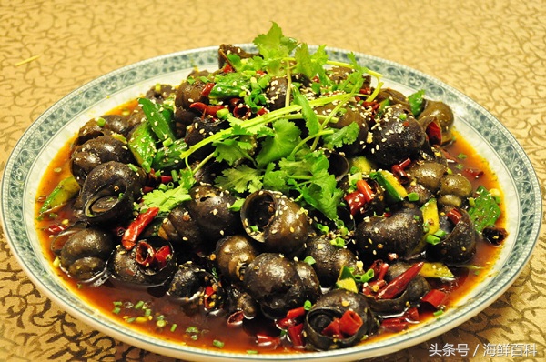 孕妇自己做的田螺可以吃么,田螺的做法爆炒加藕丁